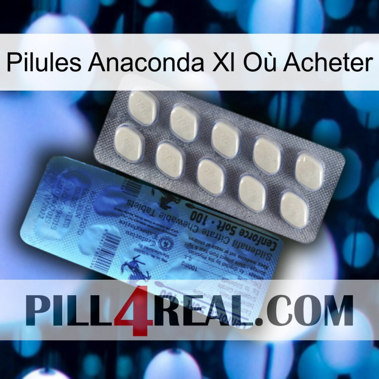 Pilules Anaconda Xl Où Acheter 34